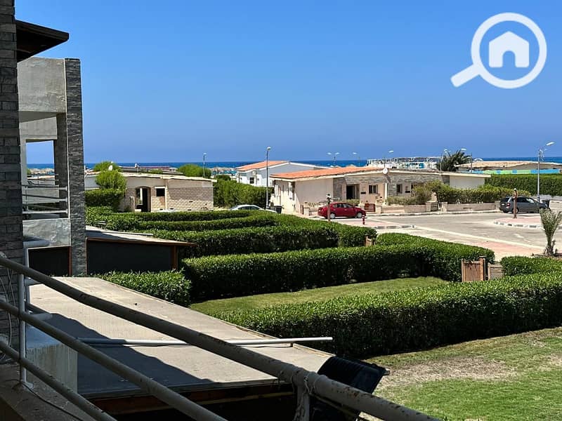 IMG-20250104-WA0226. jpg IMG-20250104-WA0226. jpg