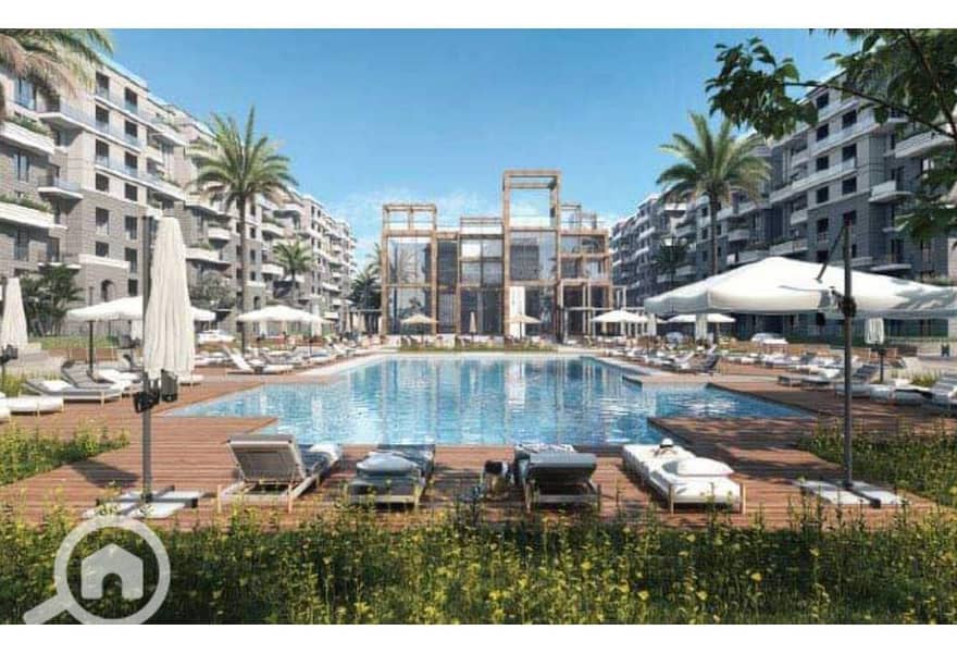 7 c8352682-e151-11ef-b921-ce7a413a7ff7. jpeg