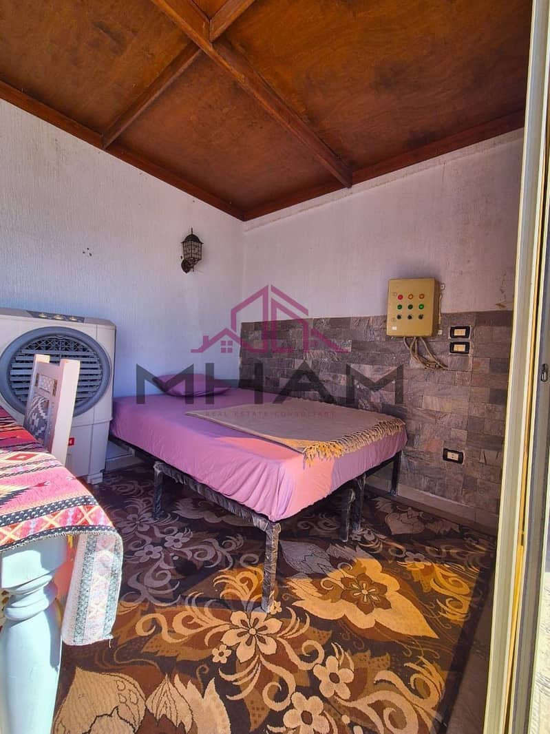 6 5906890070499724517. jpg