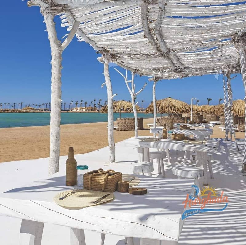 3 489424314_1106994694777932_3462381027466905763_n. jpg