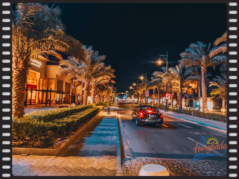 4 548192471_1239819258162141_3118150926226831627_n. jpg