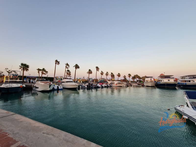 5 499683789_1142265667917501_8409341381083601306_n. jpg