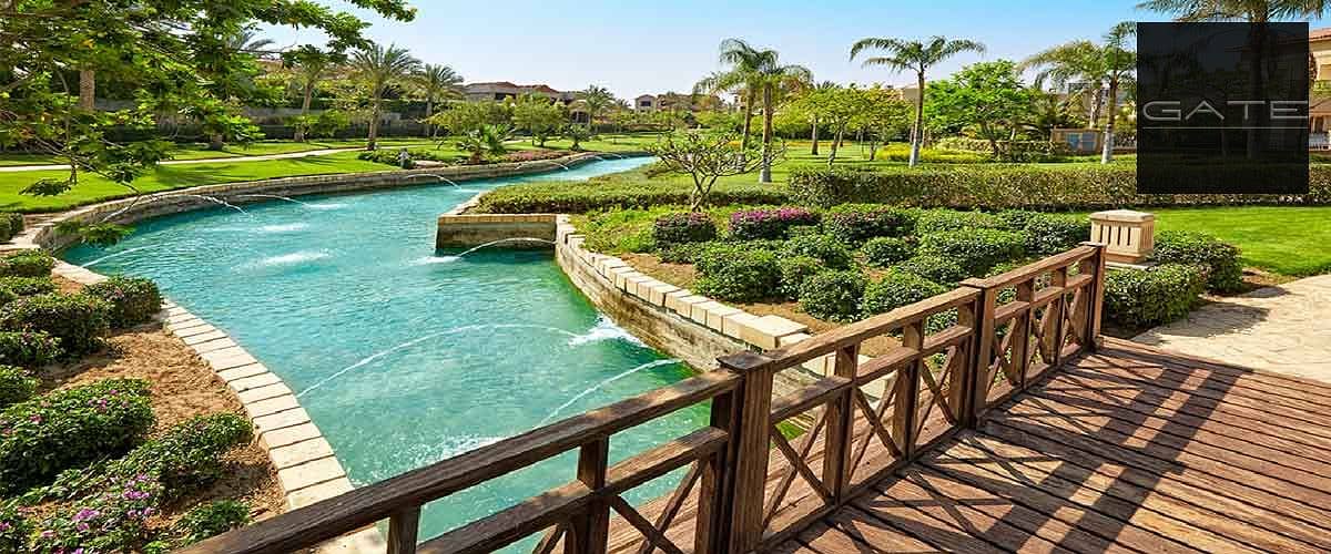 9 swan-lake-التجمع. jpg