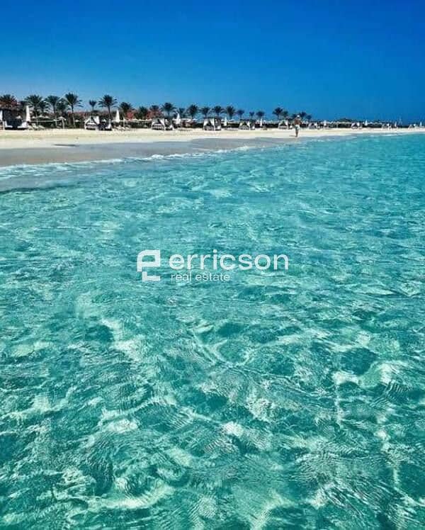 10 589305096_1901145124145891_4456475374454279703_n. jpg