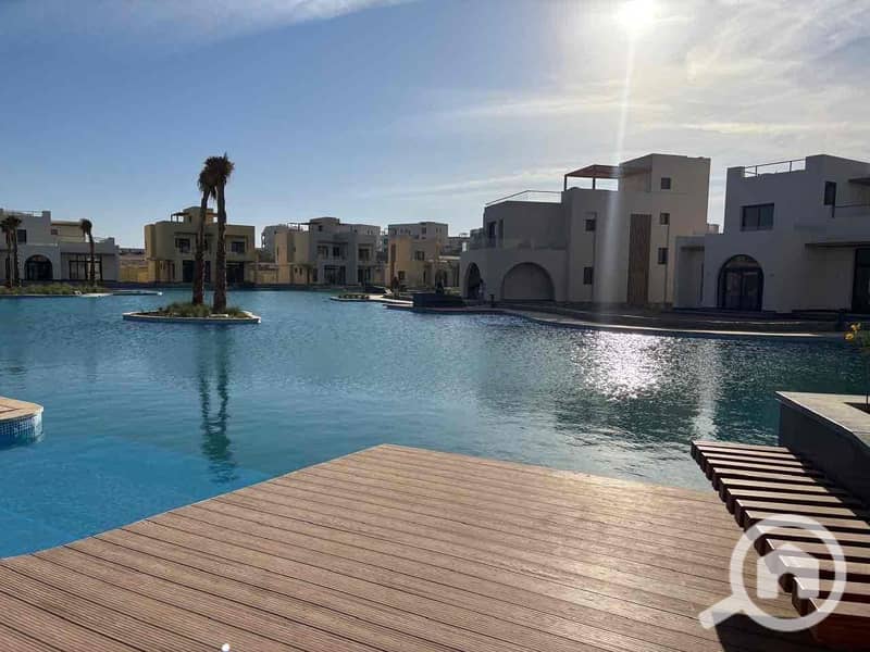 29 14156b07-9c69-45a1-9061-dd1cc402d0c1. jpg