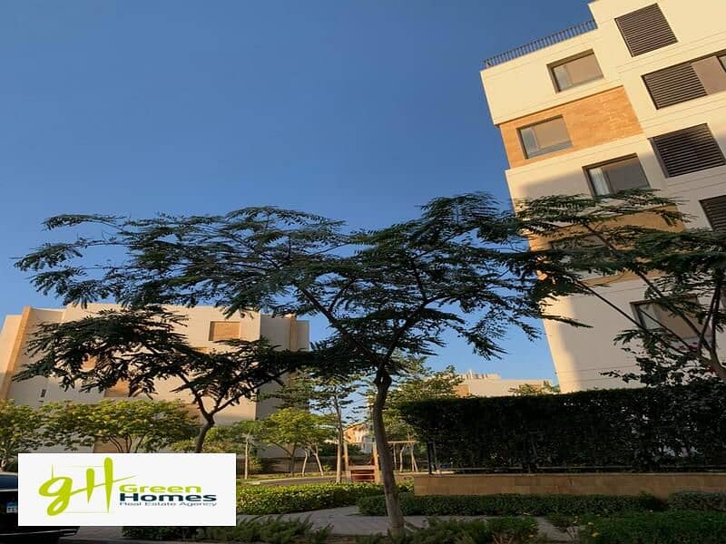 6 WhatsApp Image 2024-02-19 at 2.48. 52 PM (1). jpeg