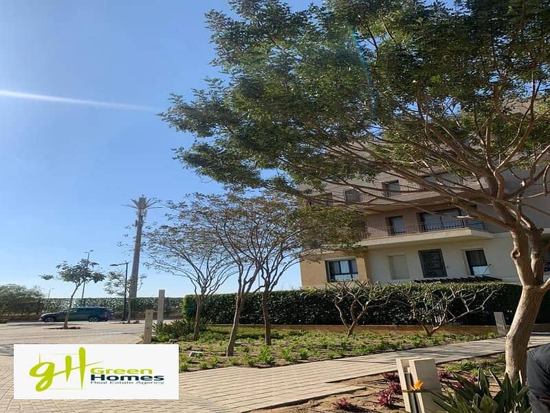 WhatsApp Image 2024-02-19 at 2.48. 28 PM (1). jpeg WhatsApp Image 2024-02-19 at 2.48. 28 PM (1). jpeg