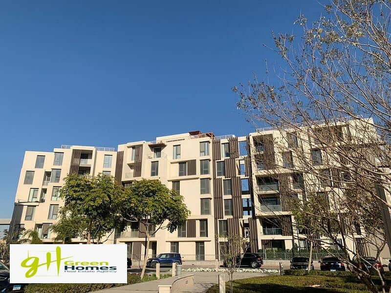 4 WhatsApp Image 2024-02-19 at 2.48. 29 PM (2). jpeg