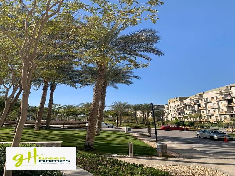 6 WhatsApp Image 2024-02-19 at 2.48. 32 PM. jpeg