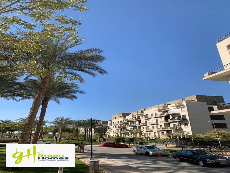 7 WhatsApp Image 2024-02-19 at 2.48. 33 PM. jpeg