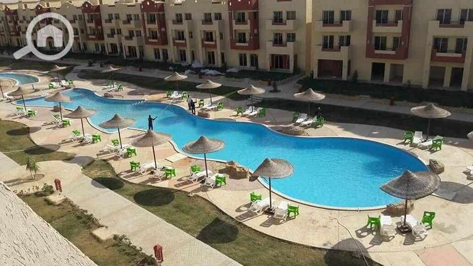 2 585604063_4238552239623210_4508243781793523761_n. jpg