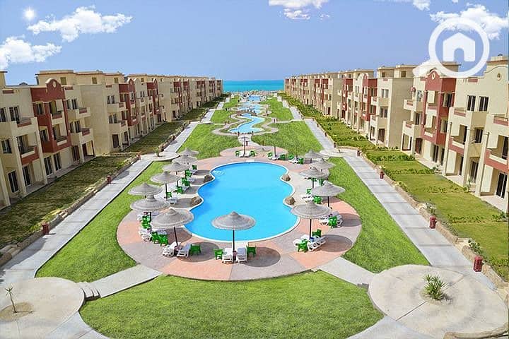 5 584475257_4238552346289866_5384703770402197476_n. jpg