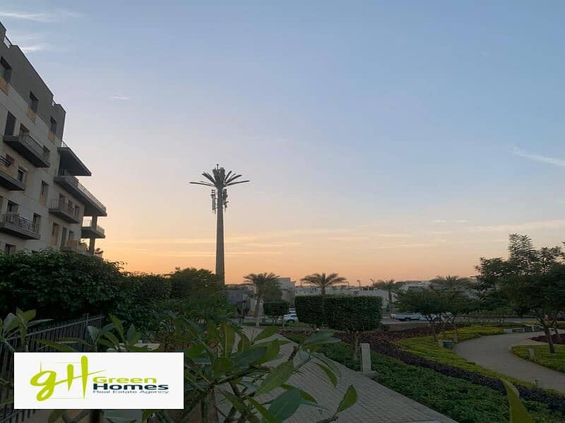 3 WhatsApp Image 2024-02-19 at 2.48. 40 PM. jpeg