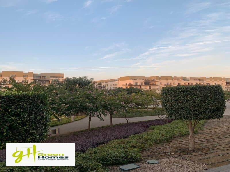 4 WhatsApp Image 2024-02-19 at 2.48. 41 PM (1). jpeg