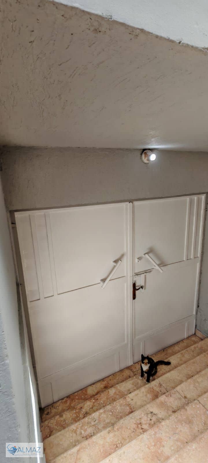 4 WhatsApp Image 2025-12-15 at 2.01. 35 PM. jpeg