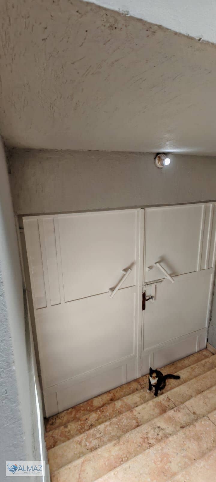 6 WhatsApp Image 2025-12-15 at 2.01. 36 PM. jpeg