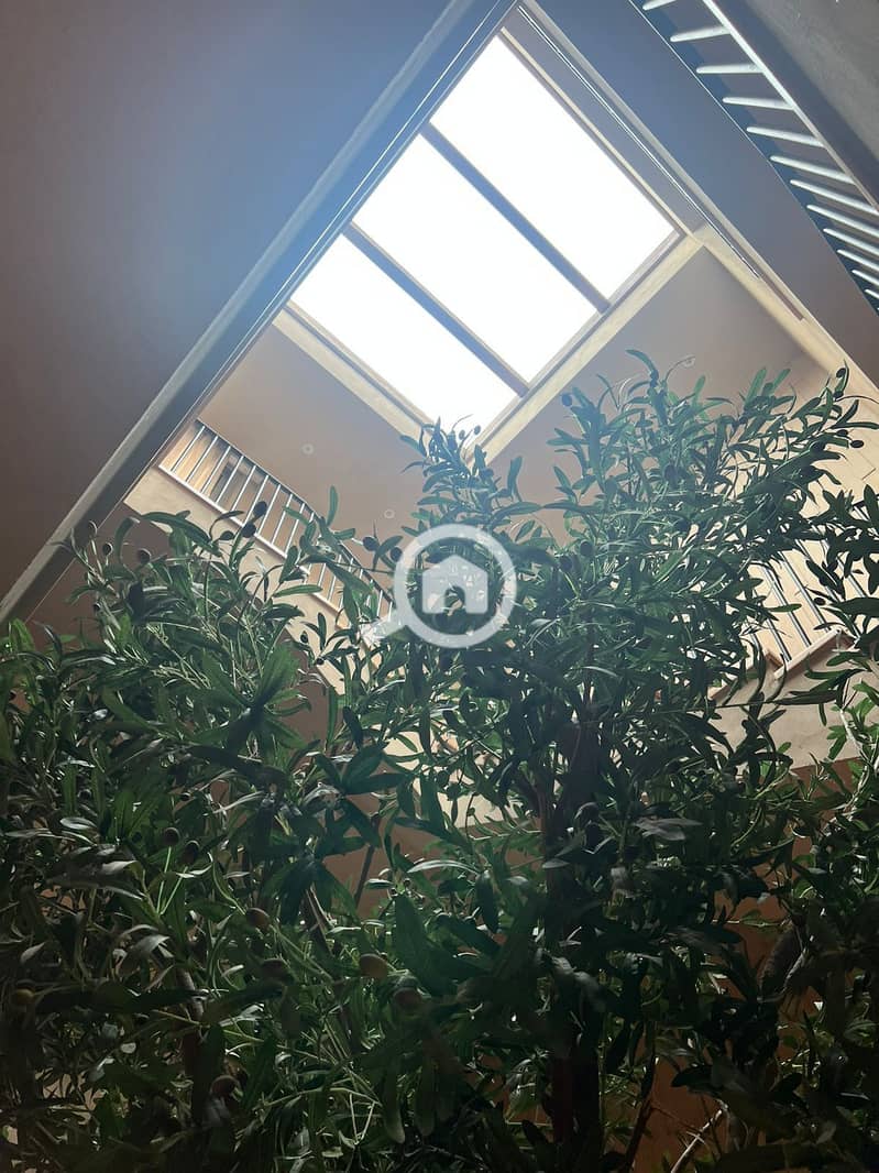 4 WhatsApp Image 2025-11-27 at 15.32. 28_55687c29. jpg