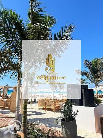 4 26244233-400x300. jpeg