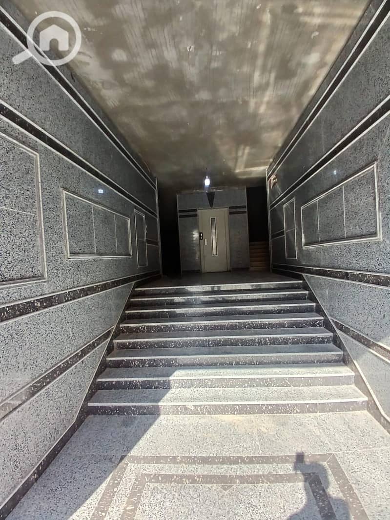 2 dc7b3037-5c4e-463f-ade4-5edbbef95623. jpg