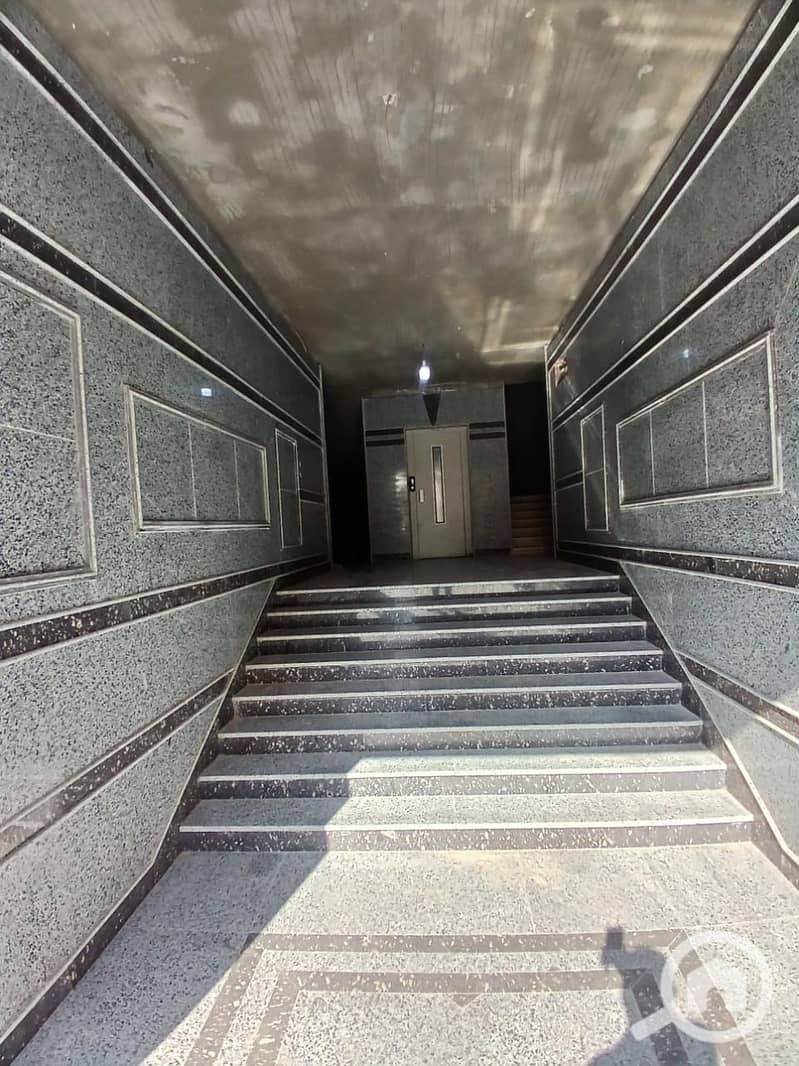 8 dc7b3037-5c4e-463f-ade4-5edbbef95623. jpg