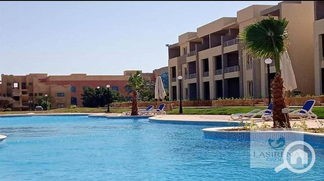 2 d708bfac-9964-4d36-a25a-8c6748f0ab98. jpeg