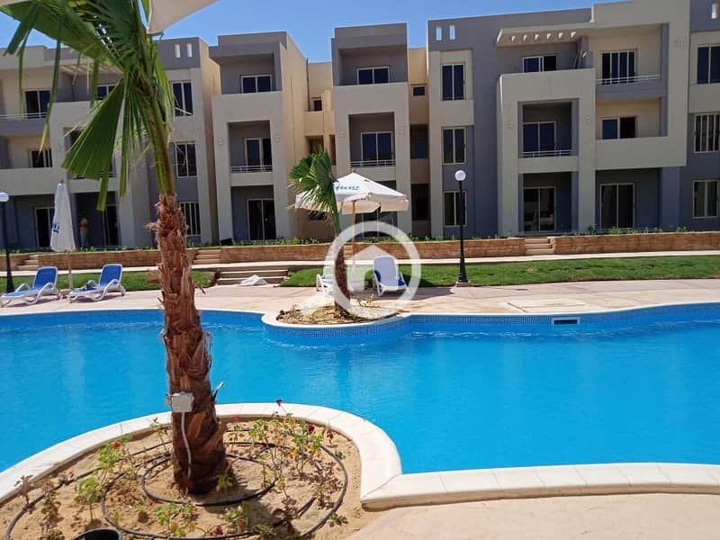 3 dfda5c9a-008a-4d67-96f3-b467ed38ea75. jpeg