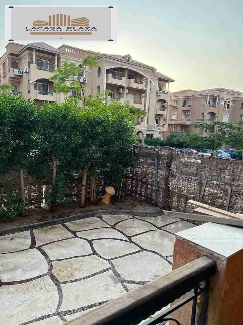 1000260499. jpg 1000260499. jpg