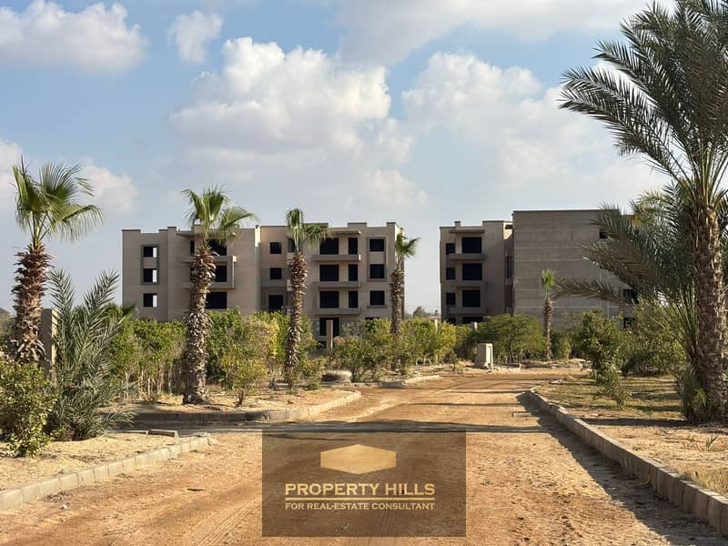 4 WhatsApp Image 2025-08-05 at 12.11. 14 PM. jpeg