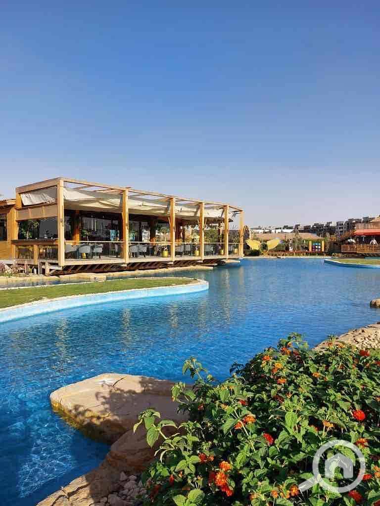 ae73f4da-50eb-44de-997c-fdf364a0c10c. jpg ae73f4da-50eb-44de-997c-fdf364a0c10c. jpg