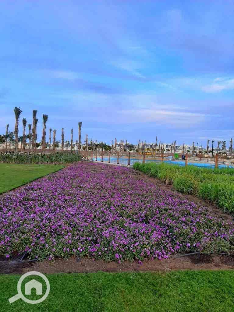 5 59bfa0f1-10f8-4577-8482-08678c9d0561. jpg