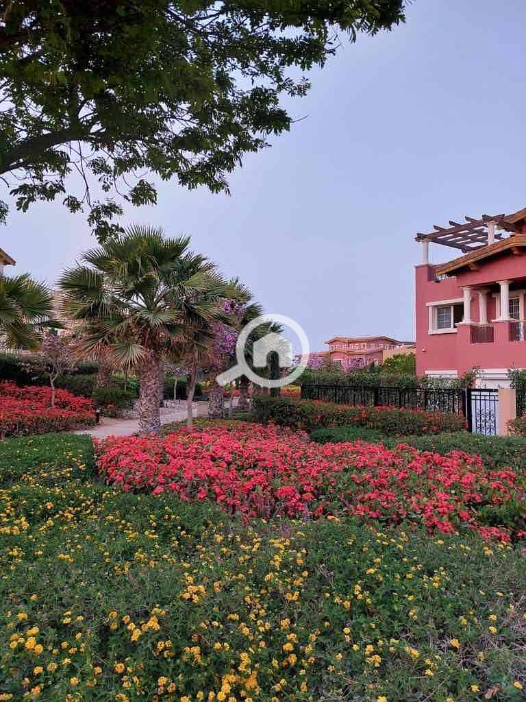 7 0f084417-dc5d-4022-afdb-c2abebb2a7de. jpg