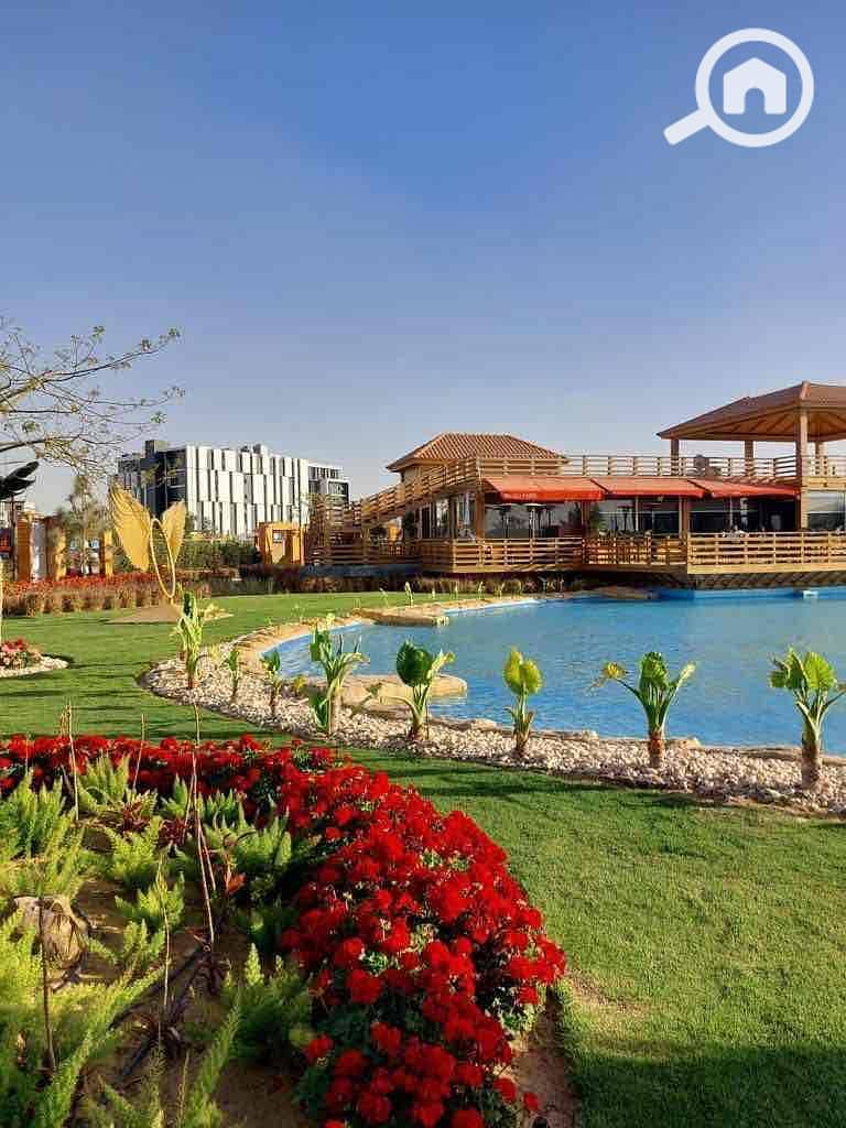 8 5fea1fee-f338-494c-afa6-ae553c9600ff. jpg