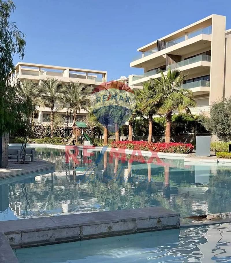 3 558538235_1096578799219620_3936160428856839076_n. jpg