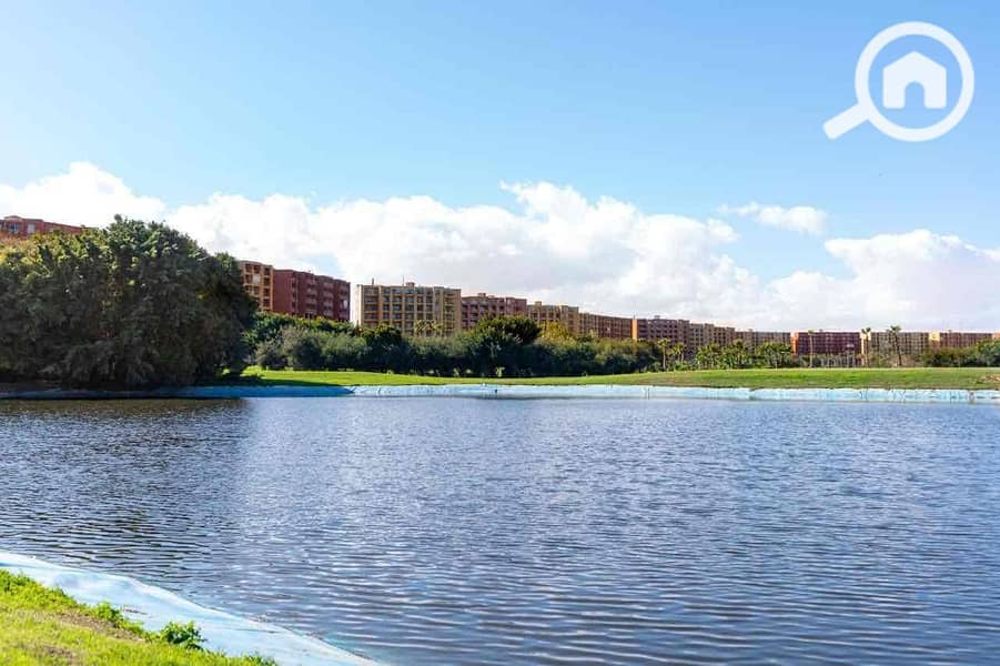 5 ed882ae3-e80c-4628-80b9-dafe034f76ca. jpg