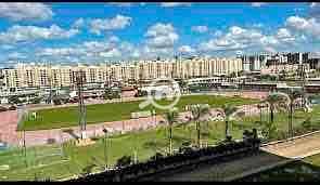 IMG_6308. jpg IMG_6308. jpg