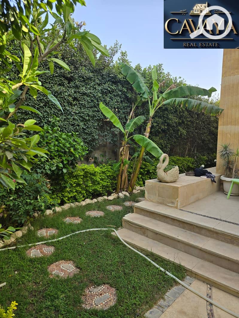 2 Untitled design (7). png