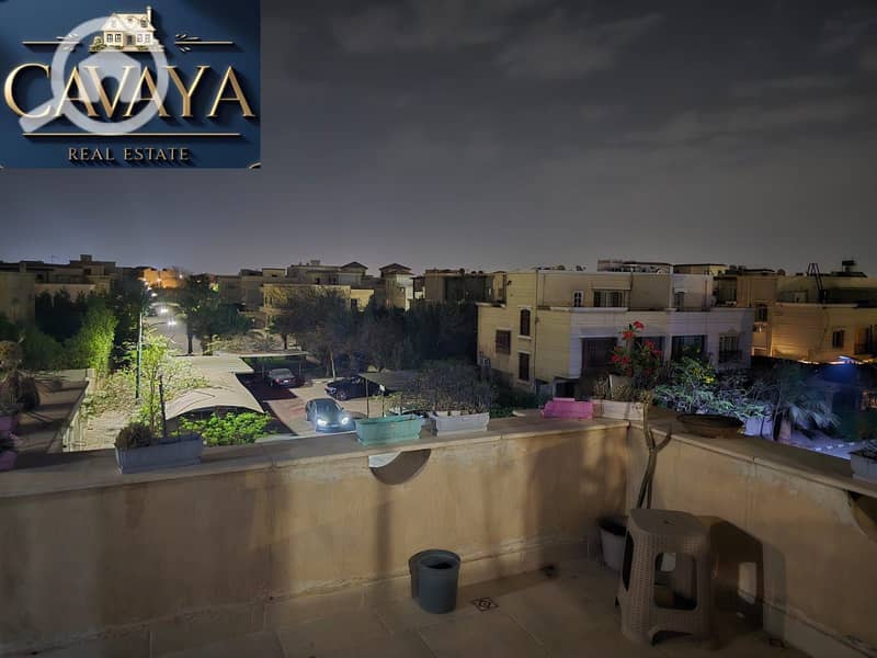 3 Untitled design (10). png