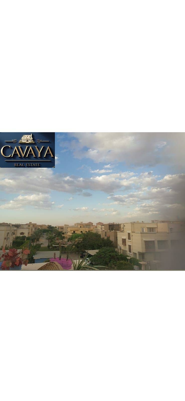 4 Untitled design (19). png