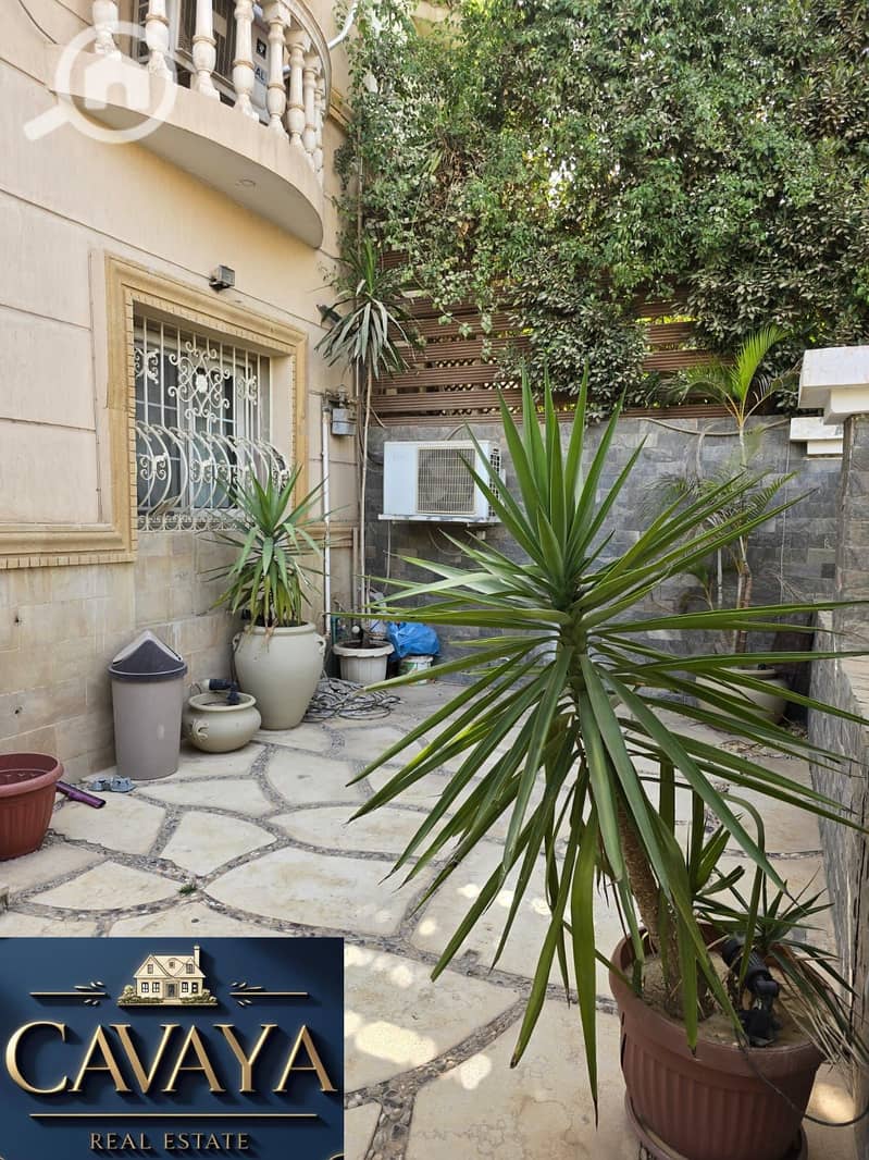 15 Untitled design (16). png