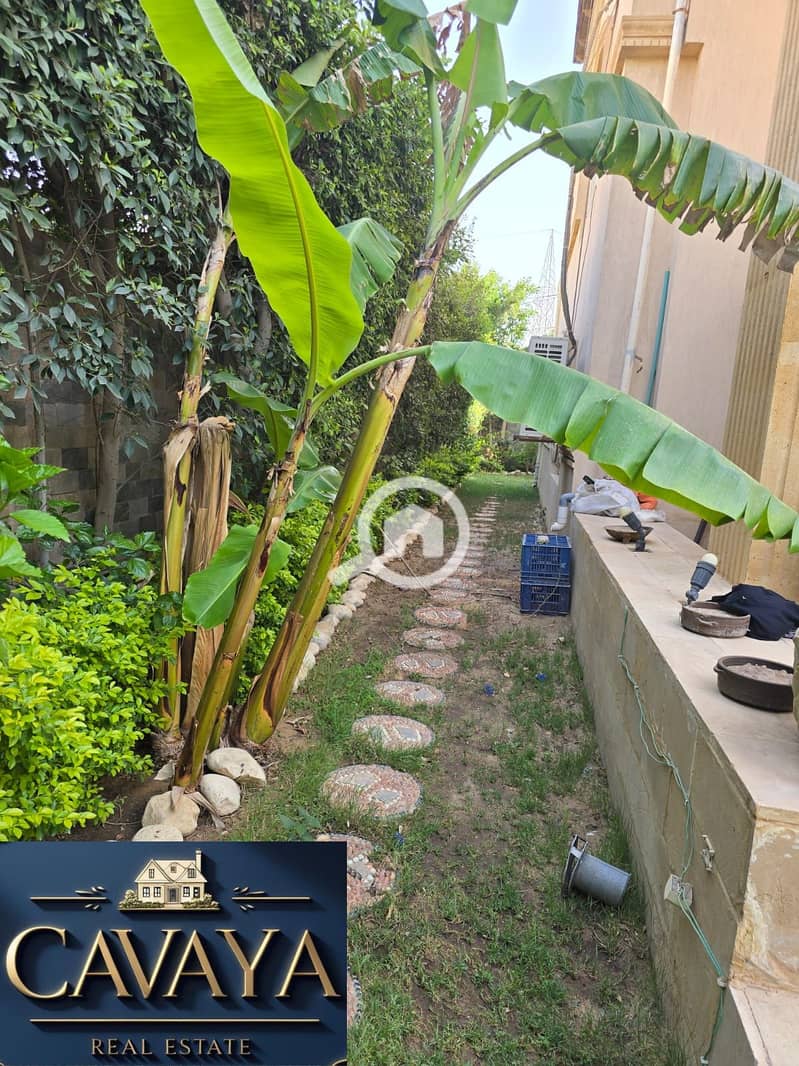 17 Untitled design (18). png