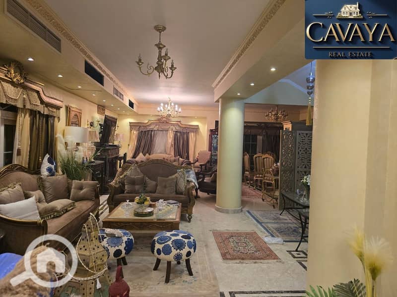 31 Untitled design (34). png