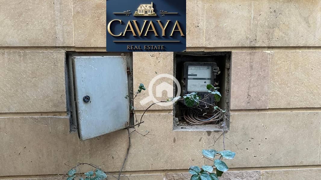 7 Untitled design (7). png