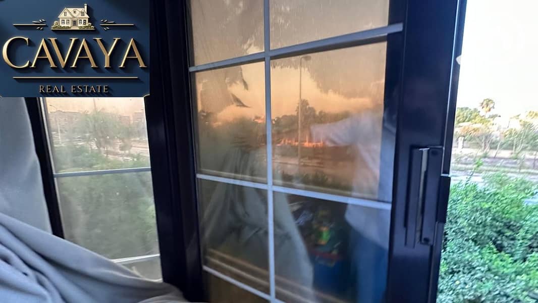 10 Untitled design (10). png