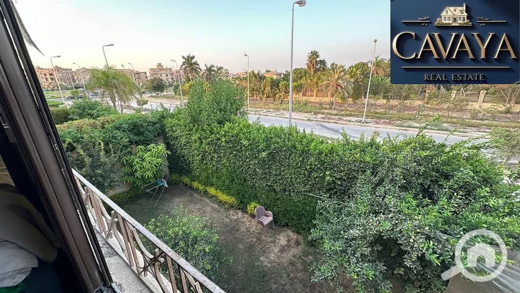 11 Untitled design (12). png