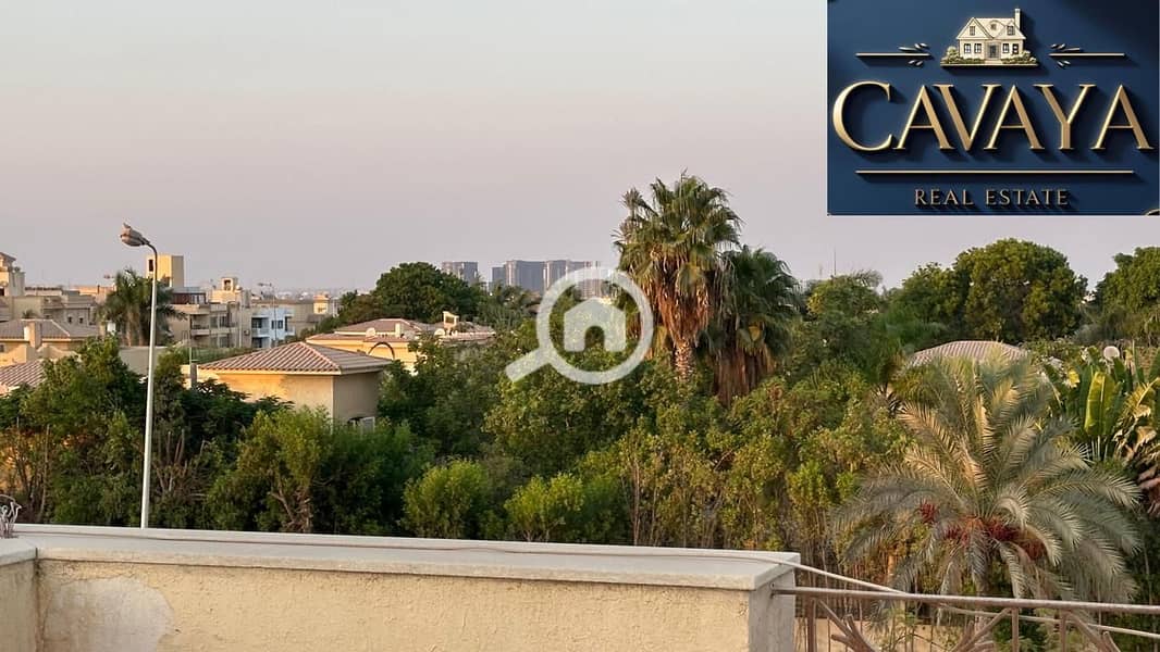 12 Untitled design (13). png