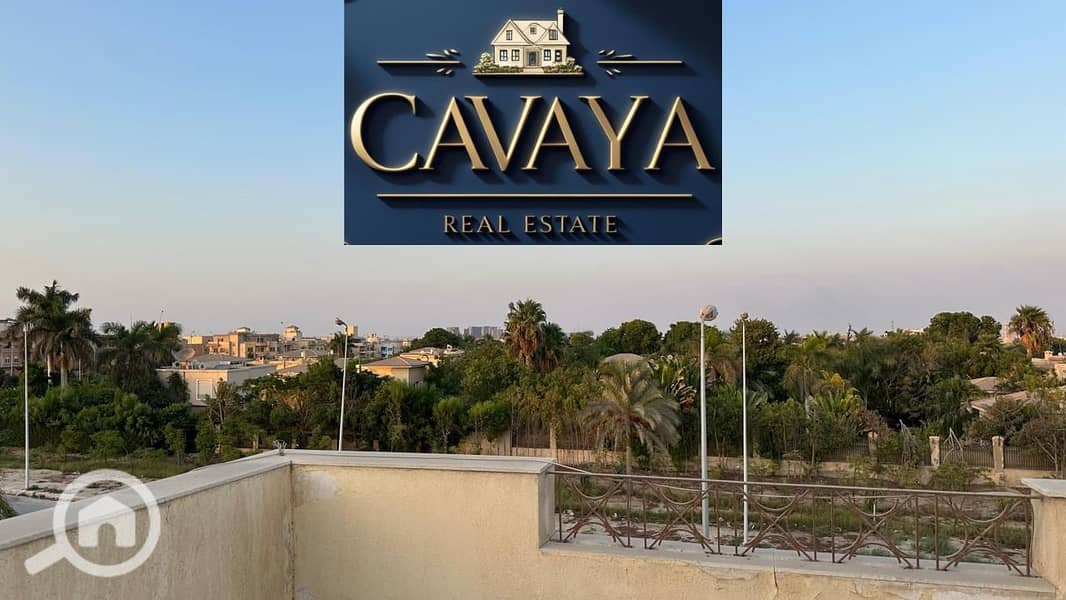 15 Untitled design (16). png