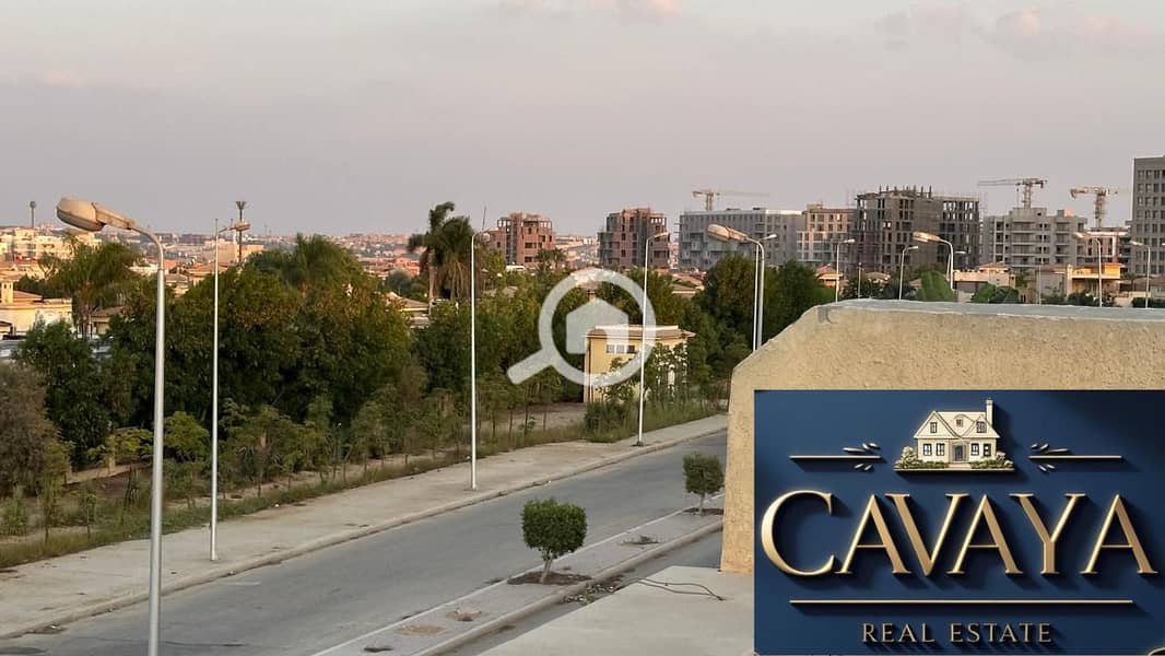 17 Untitled design (18). png