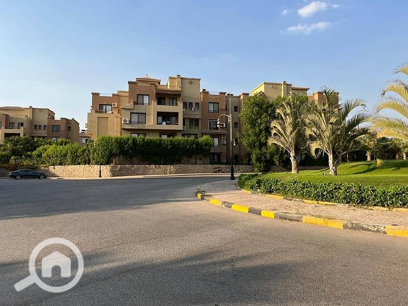 14 fb898269-a08c-4c68-b588-f2afee427cfe. jpg