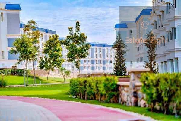 3 WhatsApp Image 2025-11-19 at 4.25. 36 AM (3). jpeg