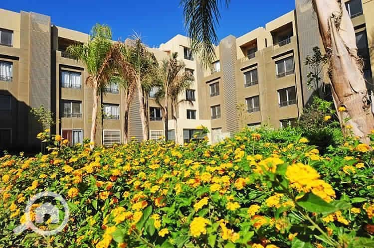 8 IMG-20250306-WA0023. jpg